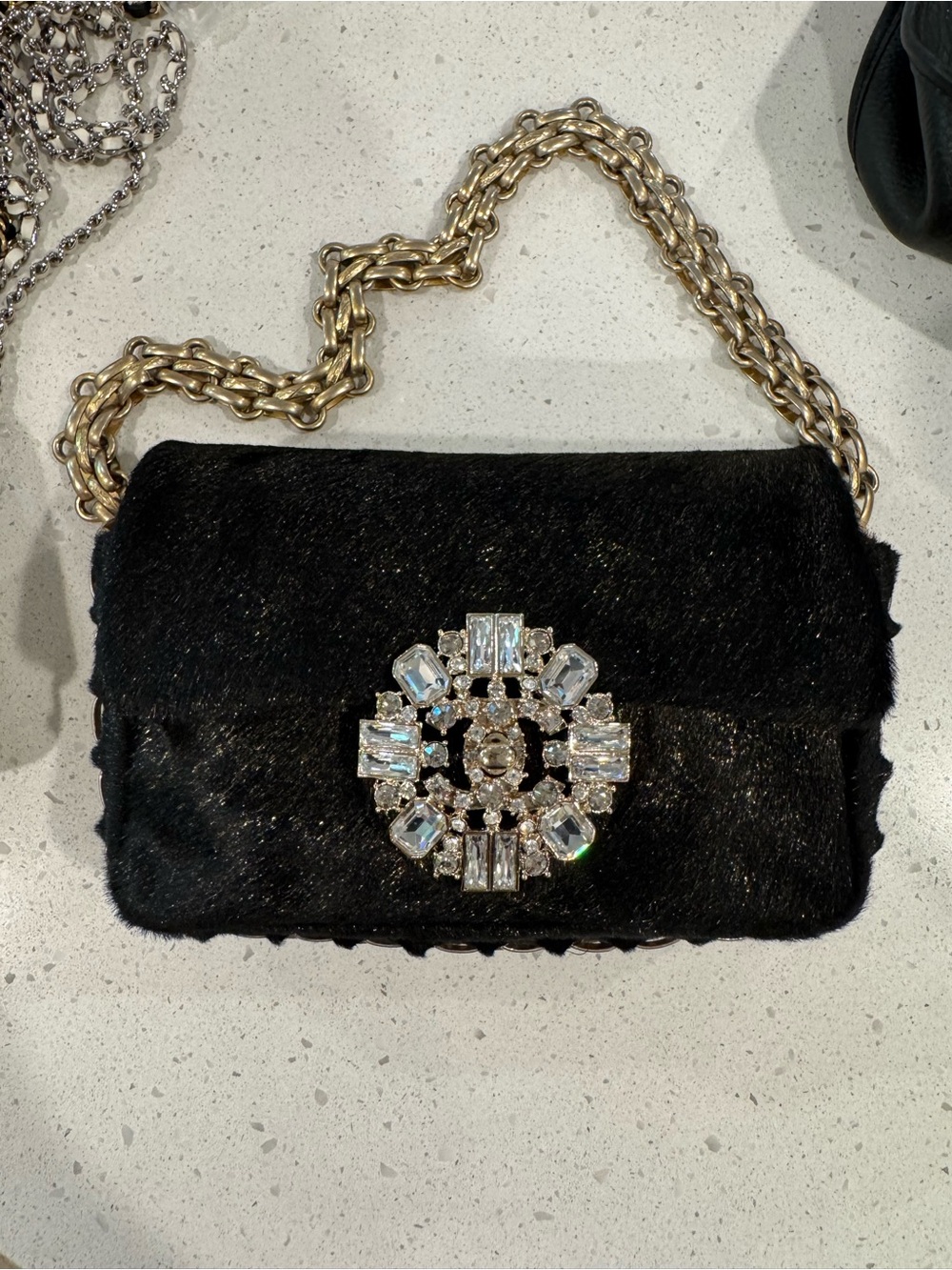 Chanel Ultra Rare Jeweled Pony Hair bag - Picture 2 of 4